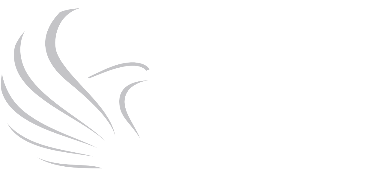 My Startup LLC — Home